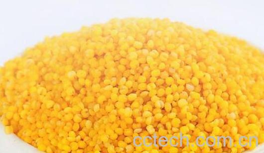 黍子和小米的区别-1