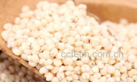 高粱米的功效与作用 高粱米怎么吃-0