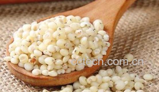 高粱米的功效与作用 高粱米怎么吃-1