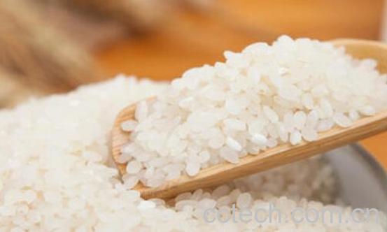 粳米是什么米 吃粳米的好处-1