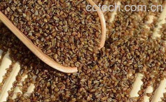 吃黑苦荞米有什么好处-0