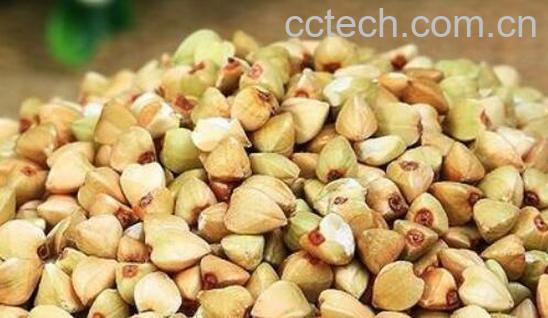 荞麦为什么不能长期吃 吃荞麦的禁忌-1