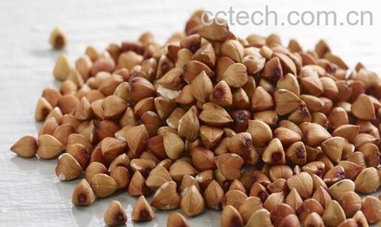 荞麦为什么不能长期吃 吃荞麦的禁忌-0