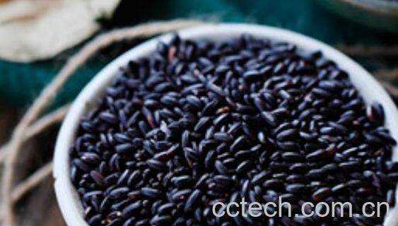 紫糯米的功效与作用及禁忌-1