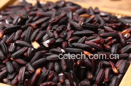紫糯米和血糯米的区别 吃紫糯米的好处-1