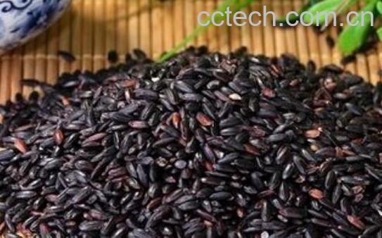 紫糯米的功效与作用及禁忌-0