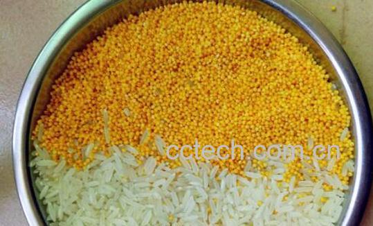 大米和小米的区别-1