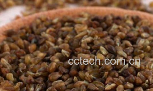 米荞与苦荞的区别 米荞 的食用功效-1