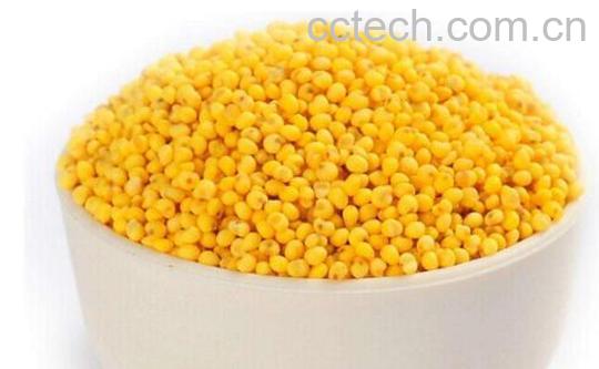 大黄米的功效与作用 大黄米的禁忌-1