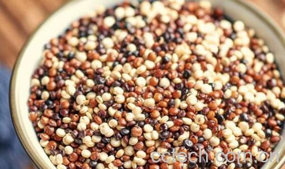 藜麦和糜子的区别-1