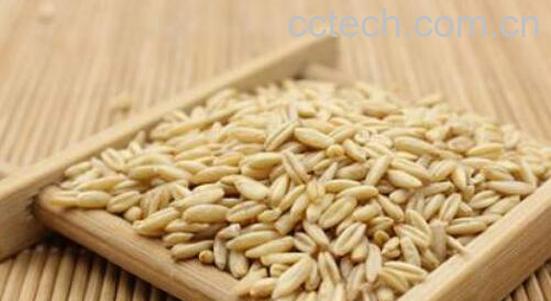 吃燕麦米的好处 燕麦米不能和什么一起吃-0