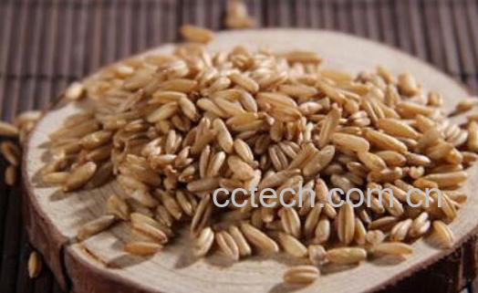 吃燕麦米的好处 燕麦米不能和什么一起吃-1