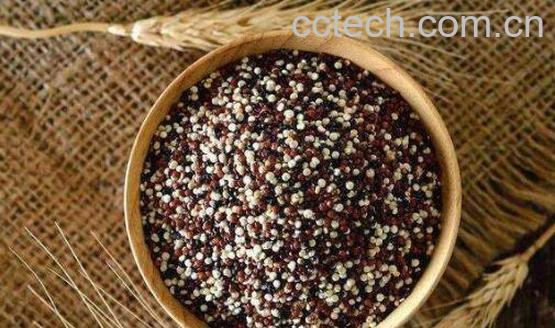 哪些人不适合吃藜麦 吃藜麦的好处-1