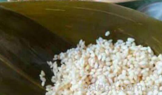 糯米仁怎么熬粥 糯米仁怎么吃-1