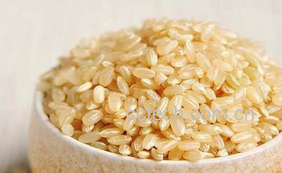 糙米和大米的区别-0