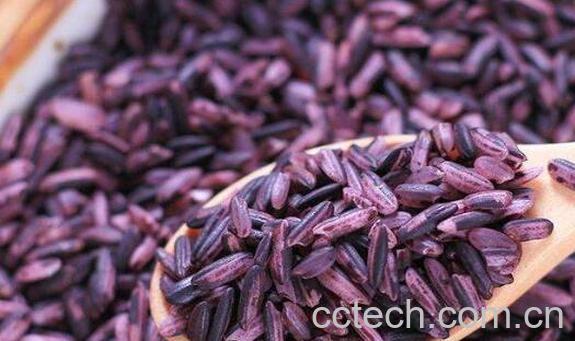 黑米粥和血糯米的区别 黑米粥的功效与作用-1
