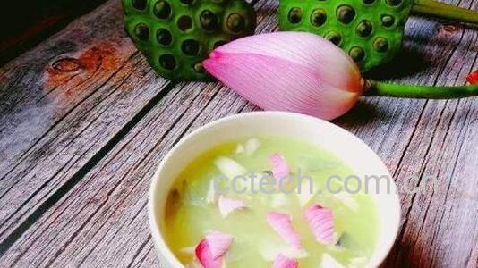 荷花粥的功效与作用-0