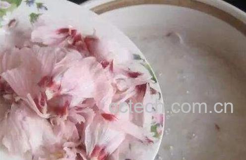 荷花粥的功效与作用-1