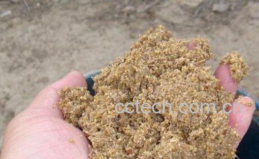 稻壳和米糠的区别 米糠的功效-1