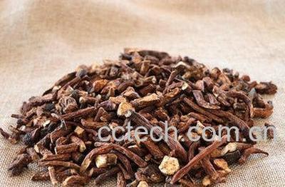  蒲公英根茶的炒制方法-0