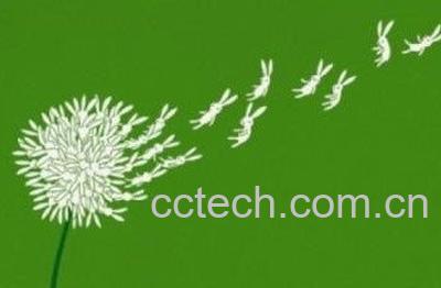 毛柄蒲公英功效，禁忌-1