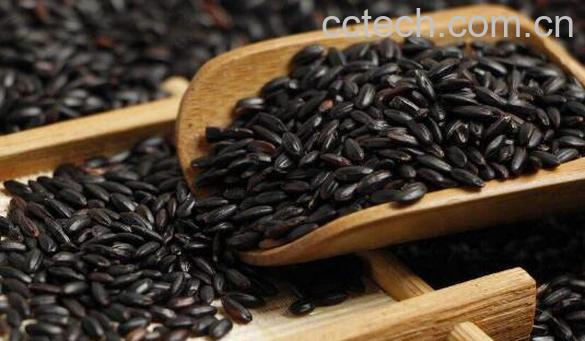 黑米的功效与作用 吃黑米的好处-0
