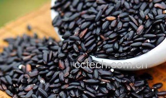 黑米的功效与作用 吃黑米的好处-1