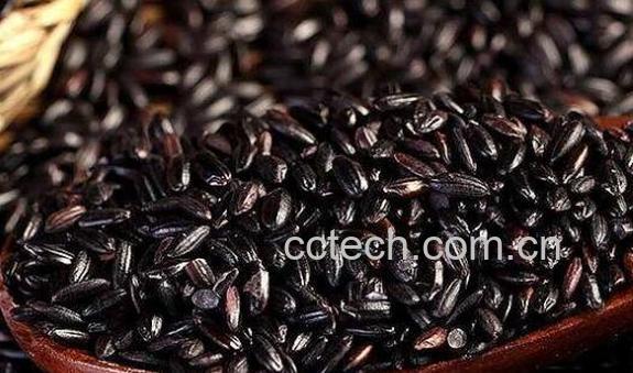 墨江紫米怎么吃 墨江紫米怎么煮好吃-1