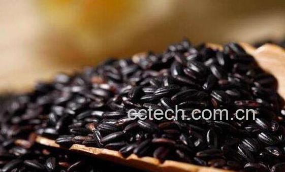 这五类人不宜吃黑米 吃黑米的禁忌-1