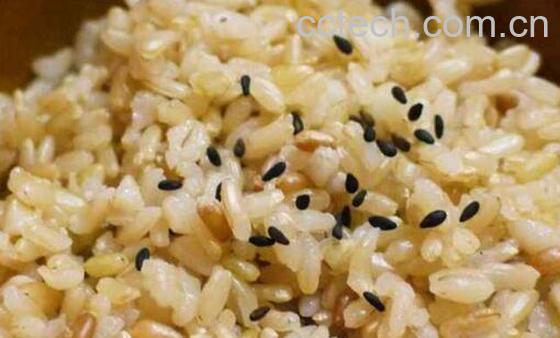 糙米饭怎么做 糙米饭的家常做法窍门-0