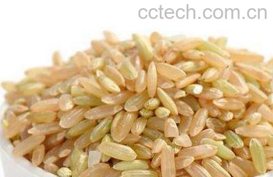 糙米什么人不能吃 糙米吃多了有什么危害-1
