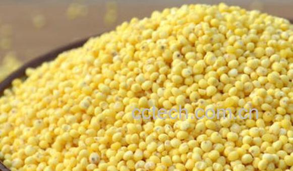 糯小米和粘小米的功效与作用	-1