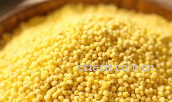 糯小米和粘小米的功效与作用	-0