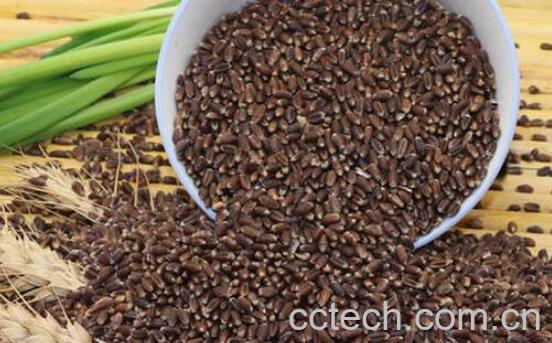 黑麦仁怎么吃 黑麦仁食用方法-0