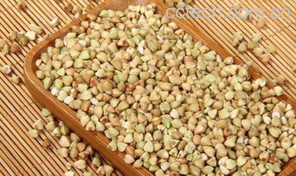 甜荞麦的功效和作用及禁忌-1