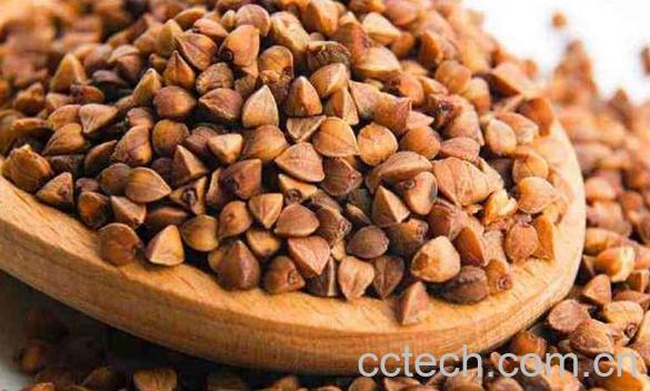 乌麦的功效与作用 吃乌麦的好处-1