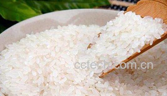 香米和大米的区别 吃大米的好处-0