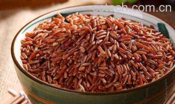 红糙米的功效与作用及禁忌-0