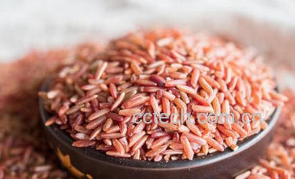 红糙米的功效与作用及禁忌-1