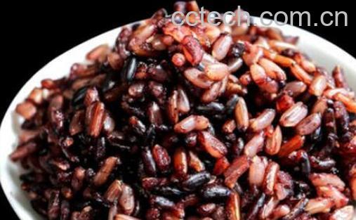 三色糙米怎么煮不熟 三色糙米的正确煮法-1