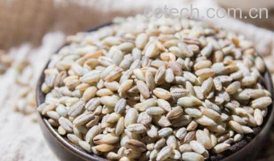 青稞米怎么做好吃 青稞米的好处-1