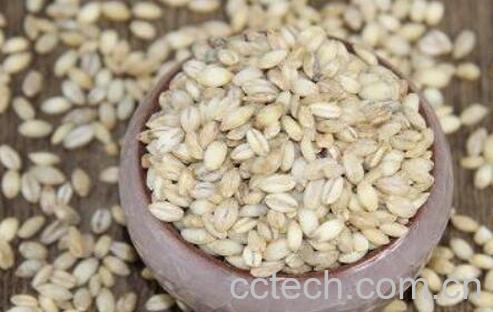 如何购买青稞米 吃青稞米的好处-0