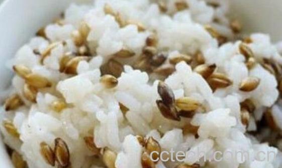 青稞米的食用方法 蓝青稞米的吃法-1