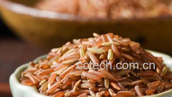 红糙米和糙米的区别 吃红糙米的好处-0