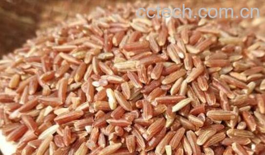 红糙米的功效与作用 红糙米的食用方法-1