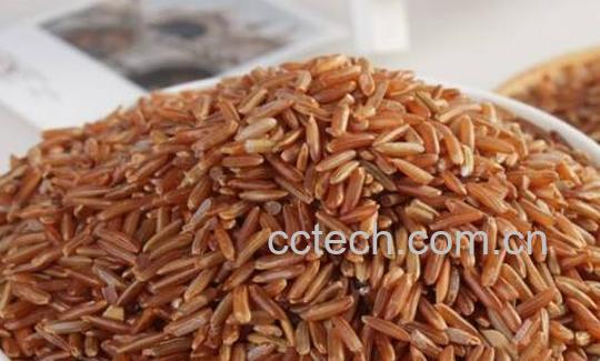 红糙米的功效与作用 红糙米的食用方法-0