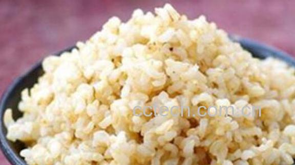 糙米怎么吃最好 糙米的食用方法大全-0