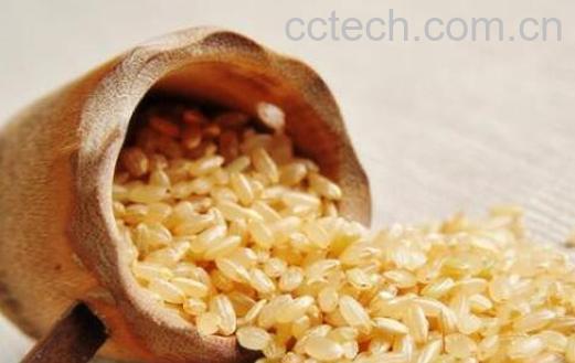 糙米怎么吃最好 糙米的食用方法大全-1