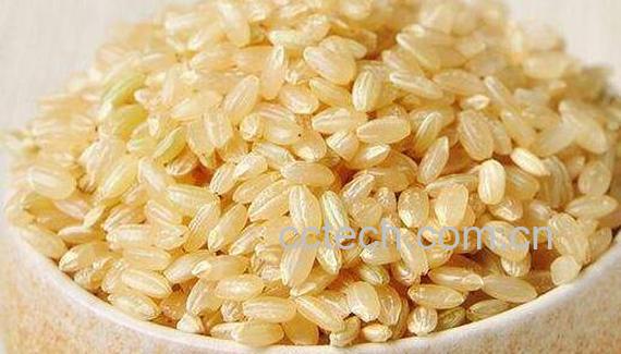 糙米的功效与作用 吃糙米的好处有哪些-1