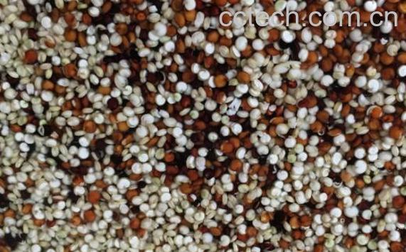 三色藜麦怎么煮好吃 三色藜麦的正确做法-0